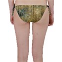 Beautiful  Decorative Vintage Design Bikini Bottoms View2