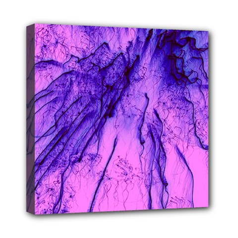 Special Fireworks Pink,blue Mini Canvas 8  X 8 