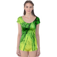 Special Fireworks, Green Short Sleeve Leotard