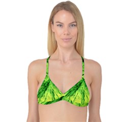 Special Fireworks, Green Reversible Tri Bikini Tops