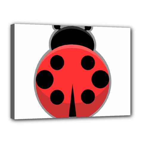 Kawaii Ladybug Canvas 16  X 12 