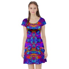 Abstract 4 Short Sleeve Skater Dresses by icarusismartdesigns