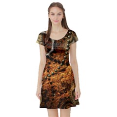 Steampunk In Noble Design Short Sleeve Skater Dresses