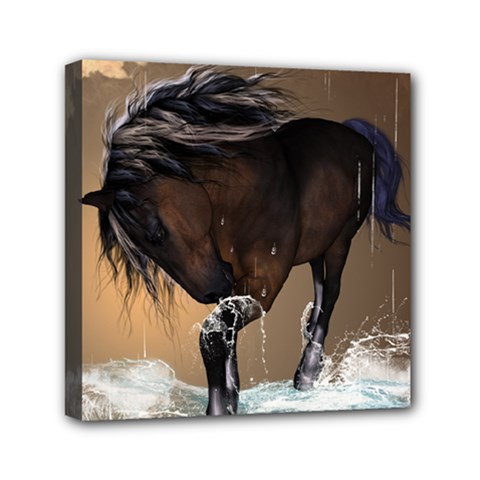 Beautiful Horse With Water Splash Mini Canvas 6  X 6 