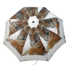 Tiger 2015 0101 Folding Umbrellas