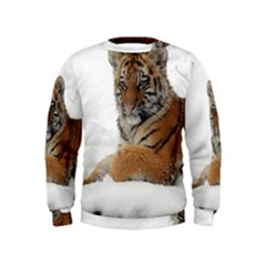 Tiger 2015 0101 Boys  Sweatshirts