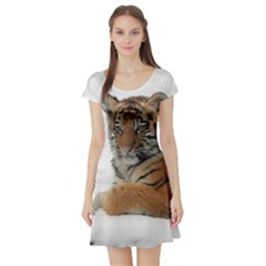 Tiger 2015 0101 Short Sleeve Skater Dresses