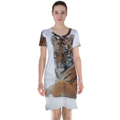 Tiger 2015 0101 Short Sleeve Nightdresses by JAMFoto