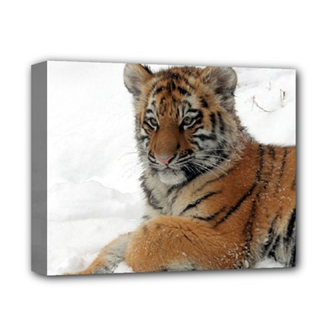 Tiger 2015 0101 Deluxe Canvas 14  X 11 