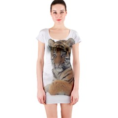 Tiger 2015 0101 Short Sleeve Bodycon Dresses by JAMFoto