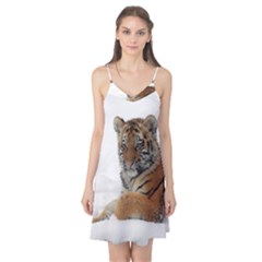 Tiger 2015 0101 Camis Nightgown by JAMFoto