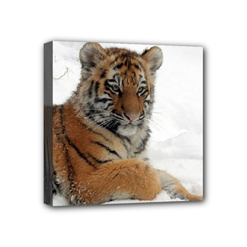 Tiger 2015 0102 Mini Canvas 4  X 4 