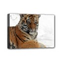 Tiger 2015 0102 Mini Canvas 7  x 5  View1