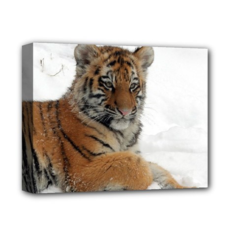 Tiger 2015 0102 Deluxe Canvas 14  X 11 