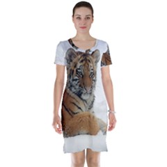 Tiger 2015 0102 Short Sleeve Nightdresses by JAMFoto