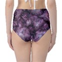 Alien Dna Purple High-Waist Bikini Bottoms View2