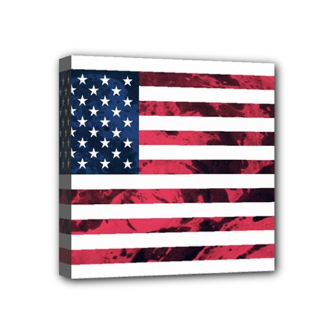 Usa5 Mini Canvas 4  X 4 