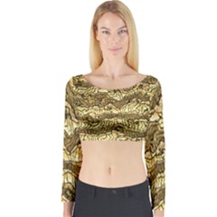 Alien Skin Hot Golden Long Sleeve Crop Top