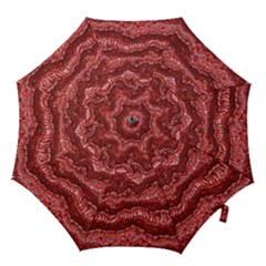 Alien Skin Red Hook Handle Umbrellas (small)