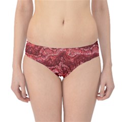 Alien Skin Red Hipster Bikini Bottoms