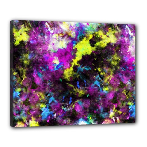 Colour Splash G264 Canvas 20  X 16  by MedusArt