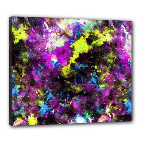 Colour Splash G264 Canvas 24  X 20  by MedusArt