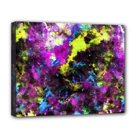 Colour Splash G264 Deluxe Canvas 20  X 16   by MedusArt