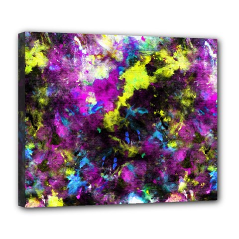 Colour Splash G264 Deluxe Canvas 24  X 20   by MedusArt