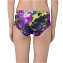 Colour Splash G264 Mid-Waist Bikini Bottoms View2