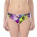 Colour Splash G264 Hipster Bikini Bottoms View1