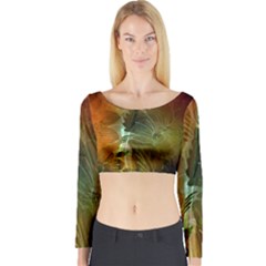 Beautiful Abstract Floral Design Long Sleeve Crop Top