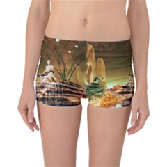 Wonderful Undergraund World Boyleg Bikini Bottoms