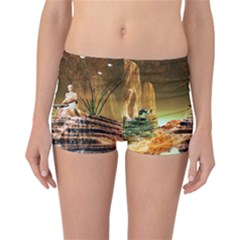 Wonderful Undergraund World Reversible Boyleg Bikini Bottoms