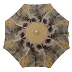 Meerkat 2 Straight Umbrellas