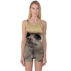 Meerkat 2 Women s Boyleg One Piece Swimsuits