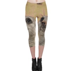 Meerkat 2 Capri Leggings