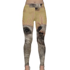 Meerkat 2 Yoga Leggings