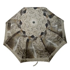 Adorable Meerkat Folding Umbrellas