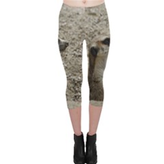 Adorable Meerkat Capri Leggings