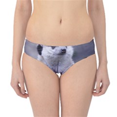 Hipster Bikini Bottoms by ImpressiveMoments