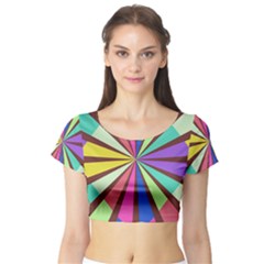 Short Sleeve Crop Top (tight Fit)