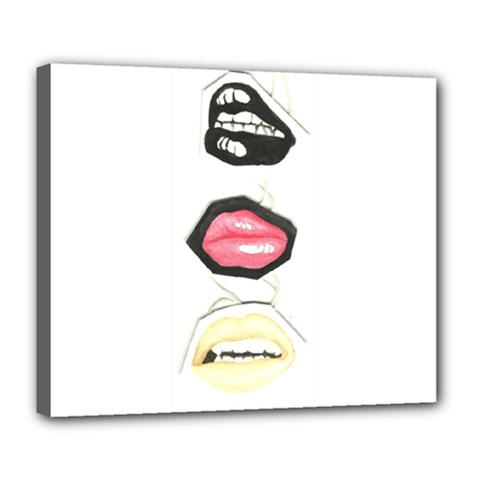 Troislips0002 Deluxe Canvas 24  X 20  