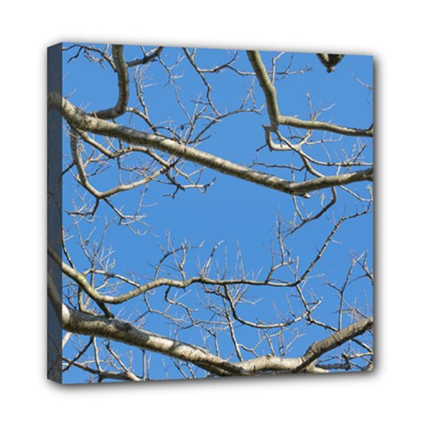 Leafless Tree Branches Against Blue Sky Mini Canvas 8  X 8 