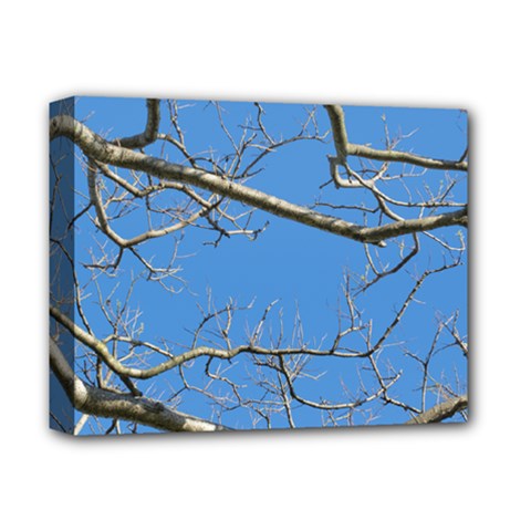 Leafless Tree Branches Against Blue Sky Deluxe Canvas 14  X 11 