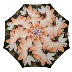 Beautiful Colourful African Daisies Straight Umbrellas