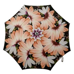 Beautiful Colourful African Daisies Hook Handle Umbrellas (medium)