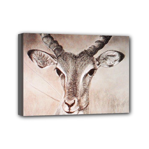 Antelope Horns Mini Canvas 7  X 5  by TwoFriendsGallery