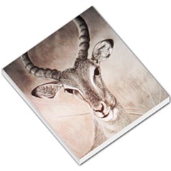 Antelope Horns Small Memo Pads by TwoFriendsGallery