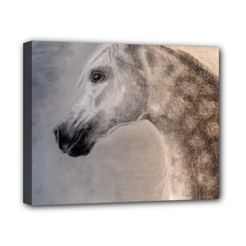 Grey Arabian Horse Canvas 10  X 8  by TwoFriendsGallery