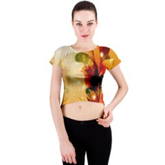 Crew Neck Crop Top